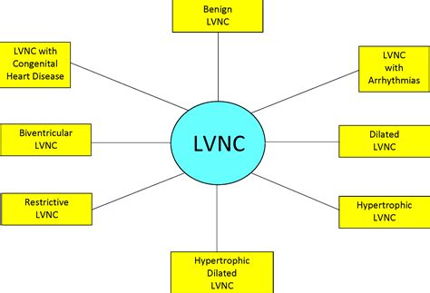 lvnc life expectancy